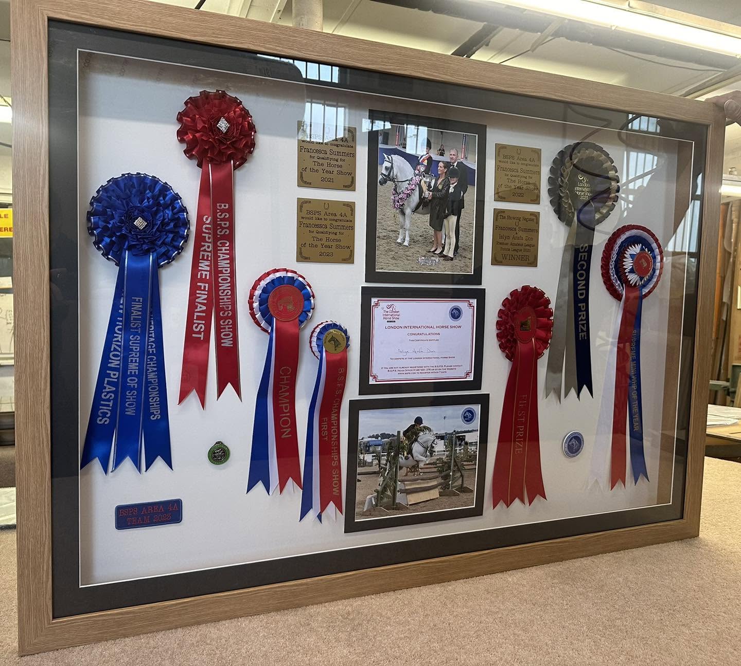 Large framed display of horse show rosettes, certificates and photographs